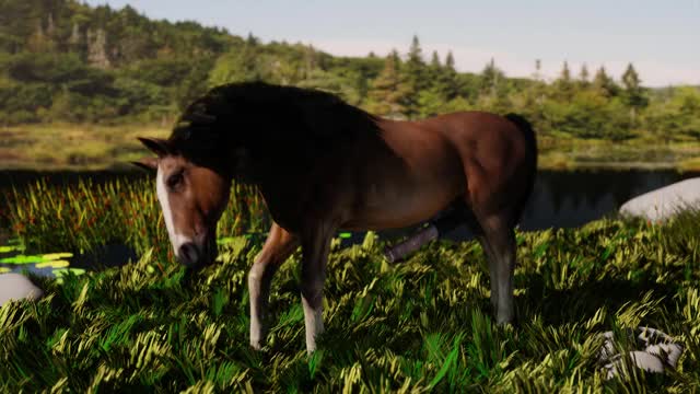 Horse in nature