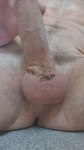 balls pierced thick cock gif