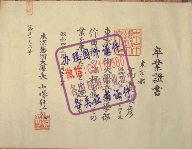 日本：东京艺术大学文凭办理（WeChat微：CX114580）样本