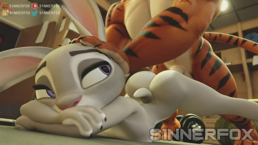 animation bunny cartoon kitty parody sex gif