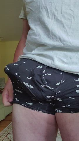 BWC Big Balls Big Dick Jerk Off Underwear gif