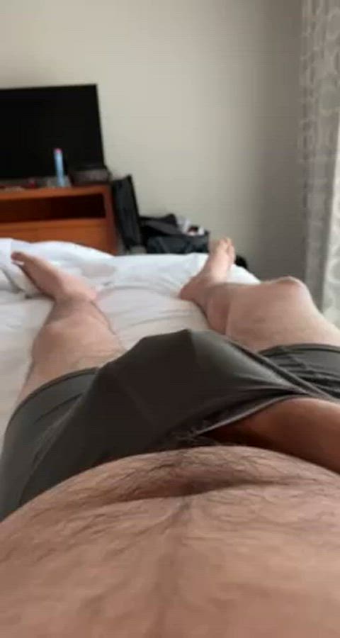 bear bulge hotel gif