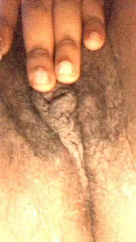 Ebony Hairy Pussy Pussy Pussy Lips Pussy Spread gif