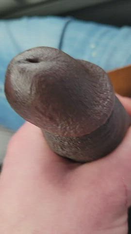 bbc blowjob cock cock worship gay handjob penis gif