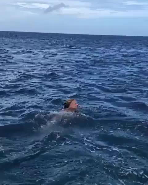 Would you swim with dolphins in the open ocean??? Follow @roam for more!?⁣⁣⁣⁣⁣⁣⁣⁣⁣⁣⁣⁣⁣⁣⁣⁣⁣⁣⁣⁣