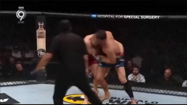 Jan Blachowicz Luke Rockhold KO