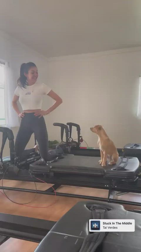 nina dobrev yoga yoga pants gif