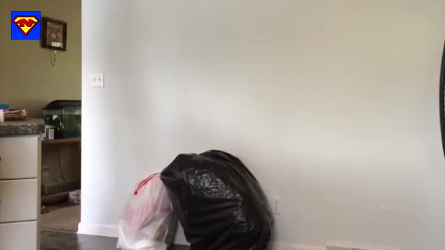 Dust Bin scare prank