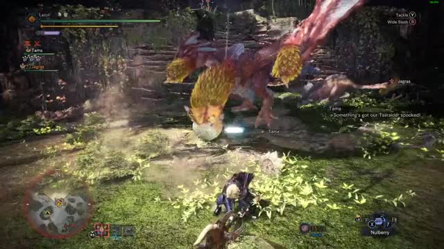 split beams - Coral Pukei Pukei