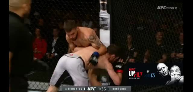 Bontorin |Bibulatov| Taken down off cage. Settles.