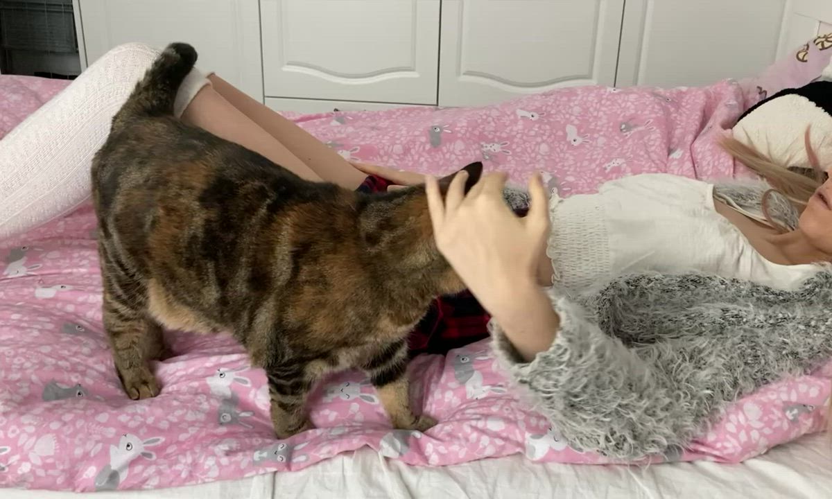 Just me trying to persuade my cat to let me do porn. Watch until the end for the