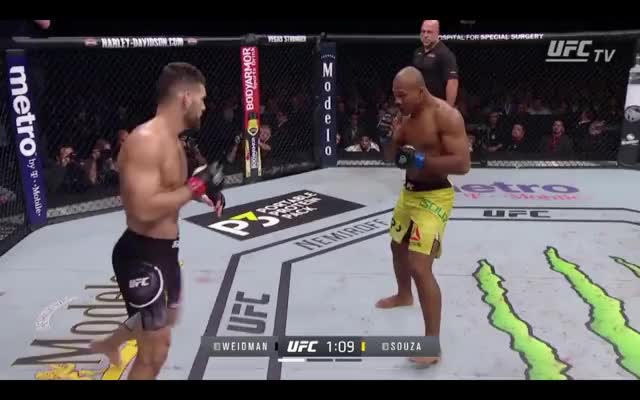 Jacare |Hall| Head movement #3