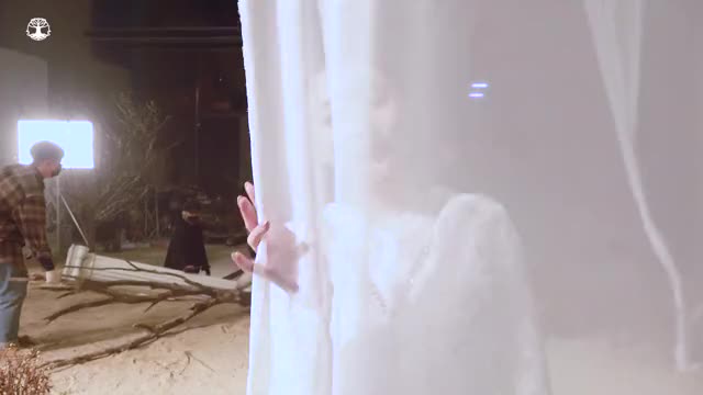 SuA behind the curtain