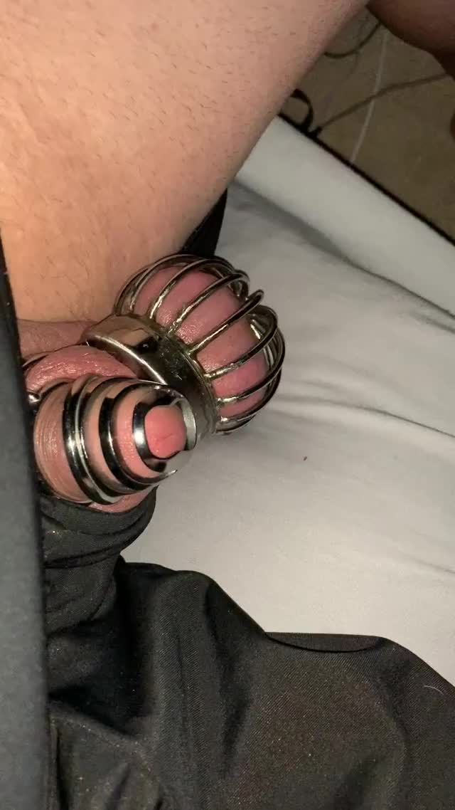ball and cock lock