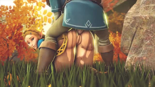 Zelda AssFucked Doggy-style (Jujala) [The Legend of Zelda] |w/sound|