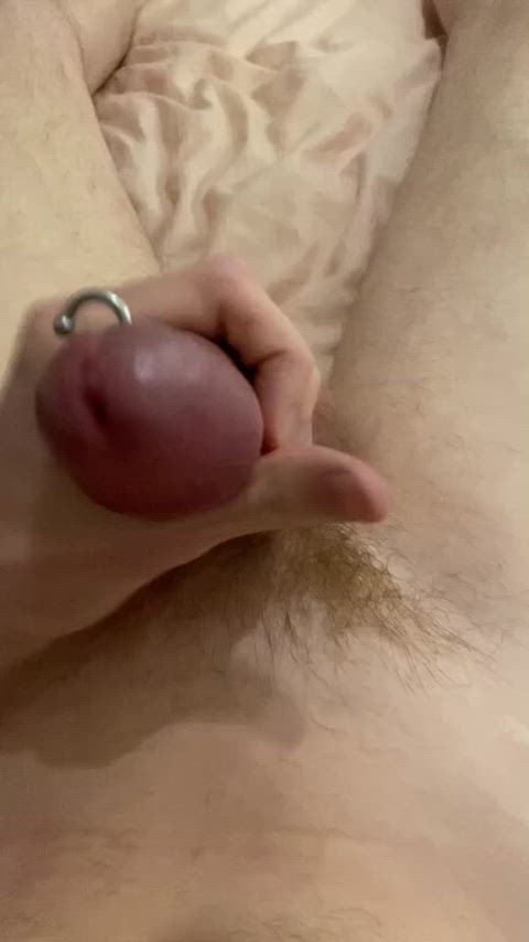 amateur cock cum cumshot homemade jerk off masturbating orgasm pierced gif