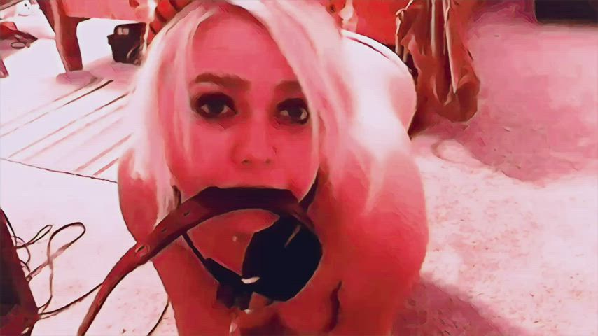 Humiliation PetPlay Slave gif