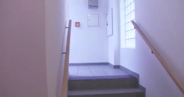 Almost got caught in the stairwell [GIF]