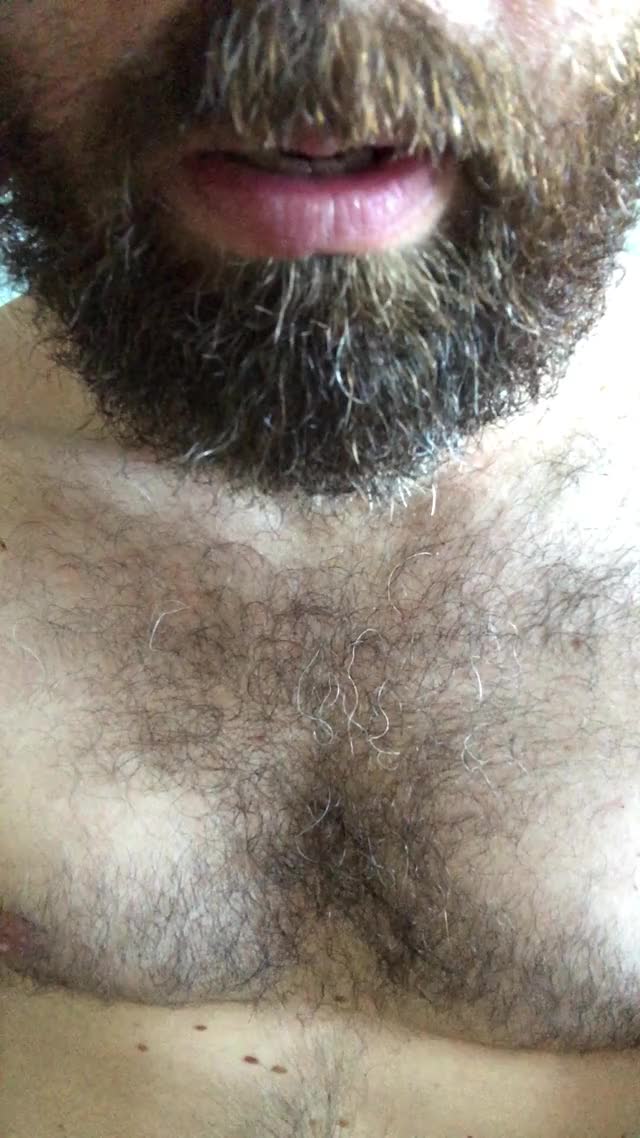 A tour from my beard to my boner