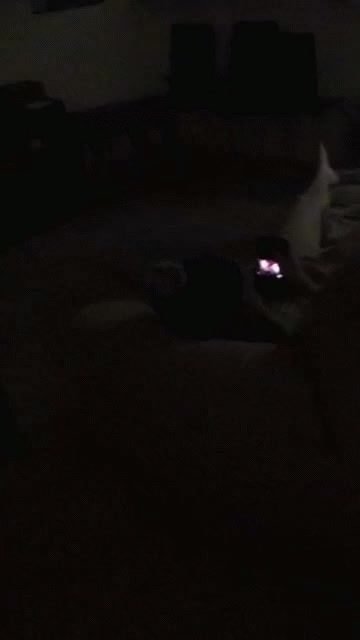 Caught in the act 1