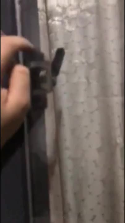 Man releases squirrel he raised