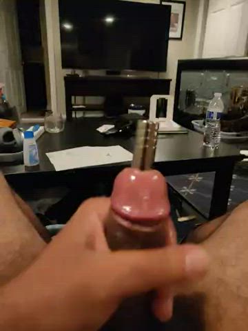 cock object insertion penis gif