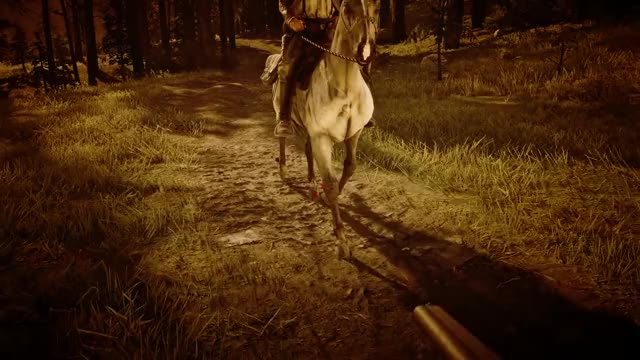 20 INSANE Details in Red Dead Redemption 2 (Part 4)