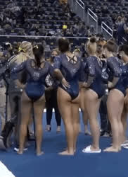 Ass Sport Tall gif