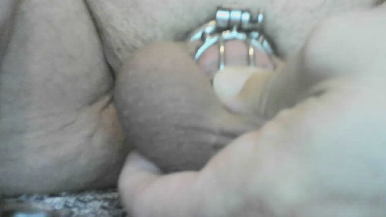 Chastity Humiliation Nipple Clamps Submission gif