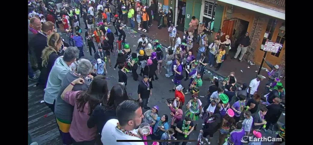 Boobs Flashing Mardi Gras gif