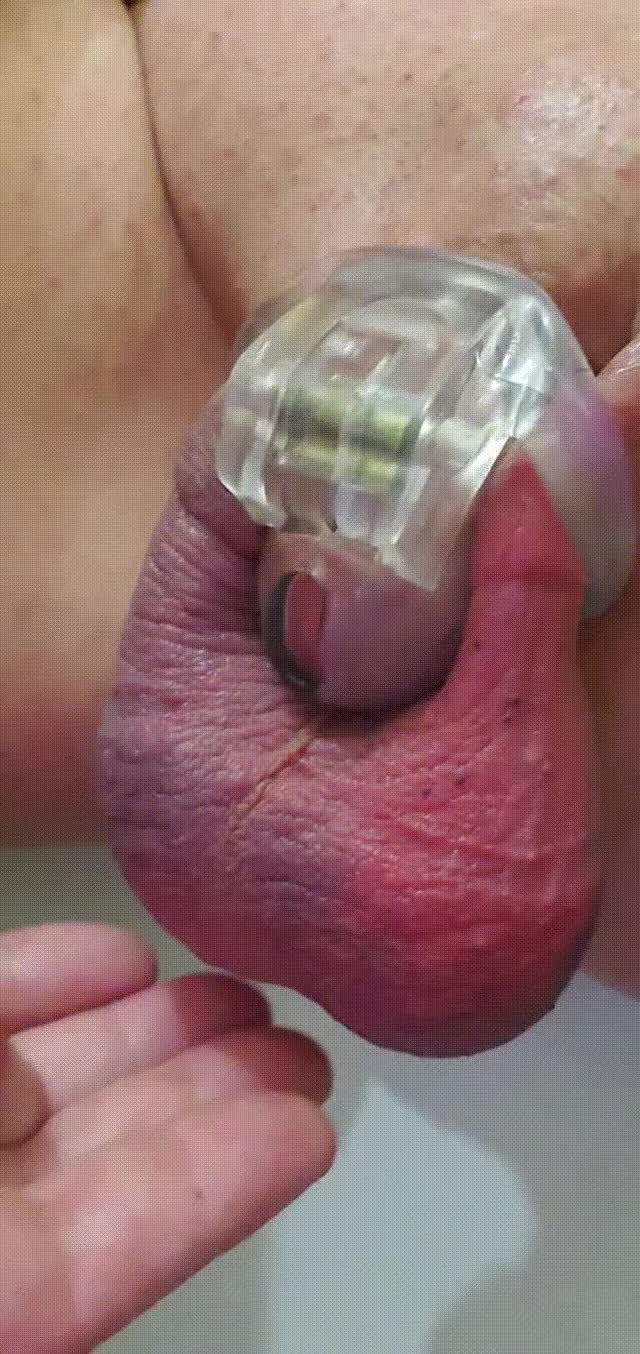 Nub chastity 1