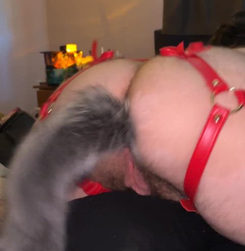 ftm puppy tail plug gif