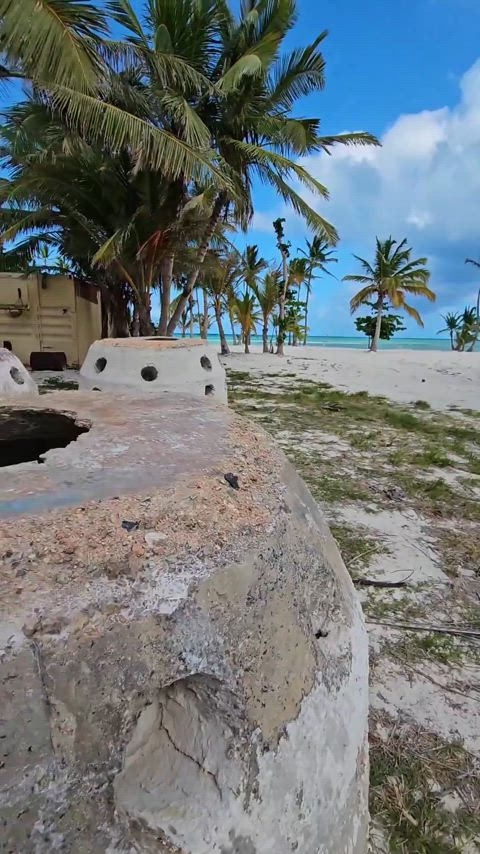 I love giving blowjobs at the beach