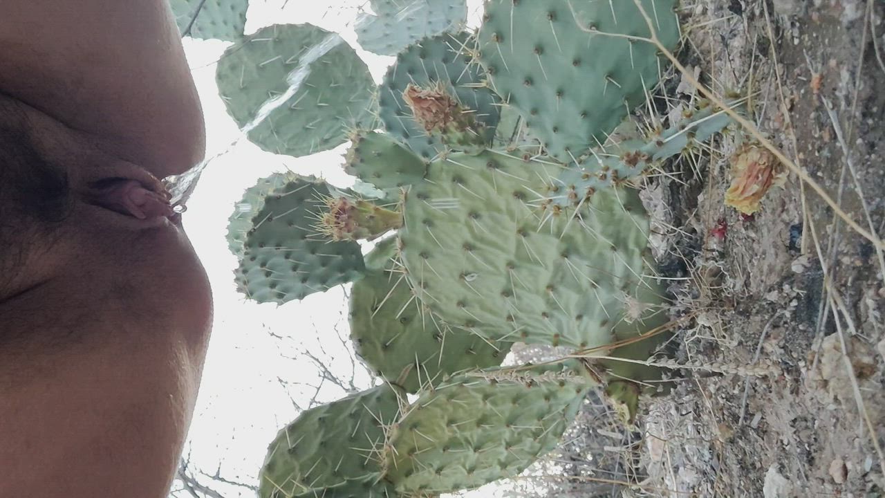 Watering the desert