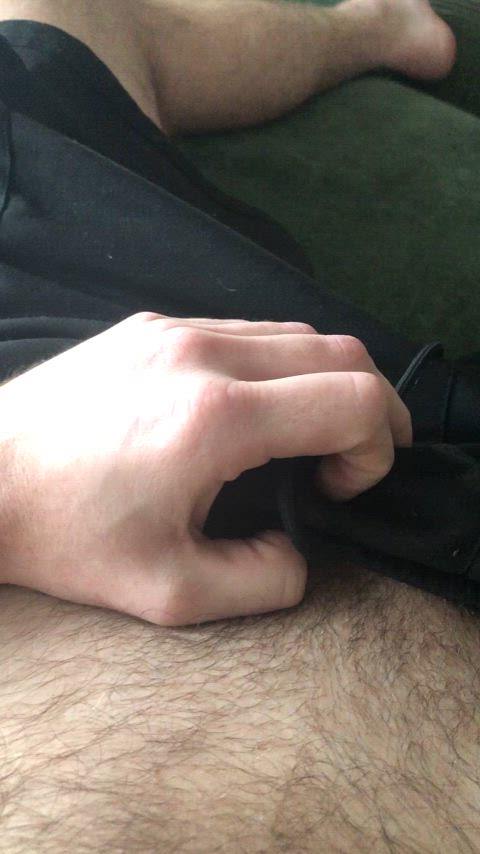 amateur cock cock worship cockslap hairy cock nsfw onlyfans reveal gif