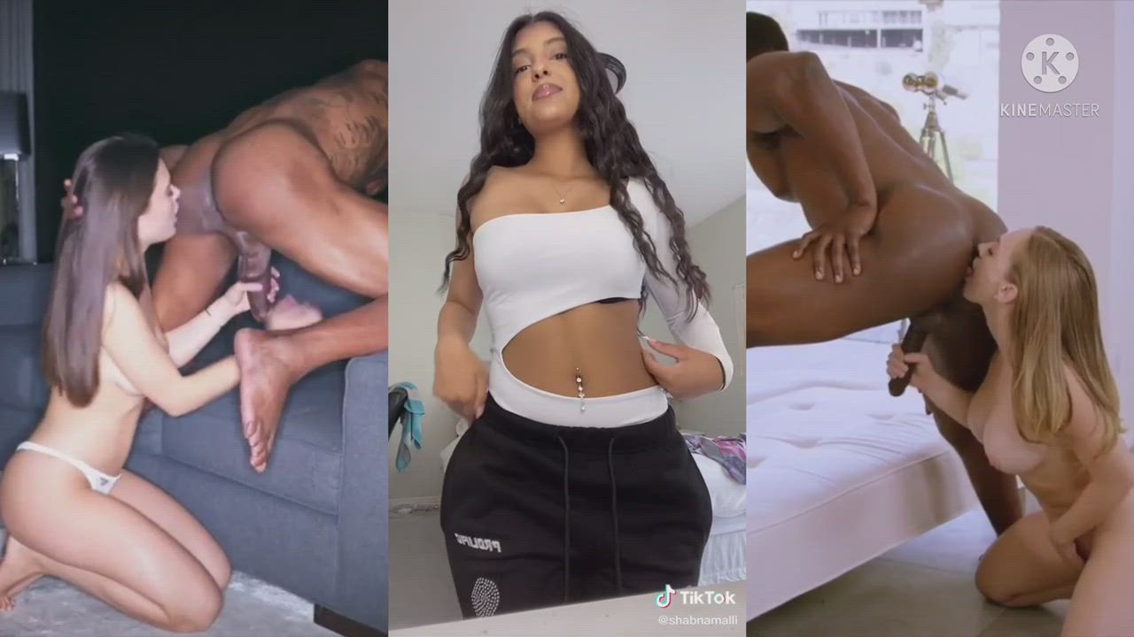 BBC Blowjob Compilation Cumshot Interracial PMV Riding TikTok gif