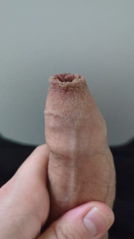 close up foreskin penis gif