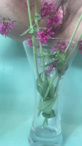 My flowers were thirsty… are you? ?