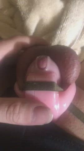 chastity cumshot sissy gif