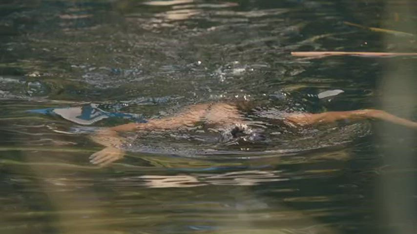 Rachel Bilson, bikini cleavage