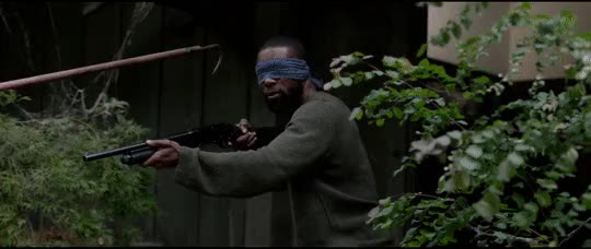 BIRDBOX 13