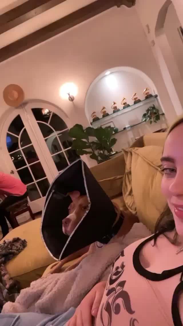 Billie Eilish Slaps Tits 3