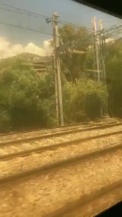 Risky Train Blow