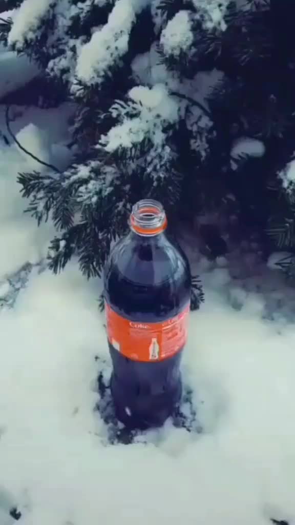 Coke plus Mentos