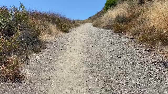 Flashing with my friend on a hike (OC)