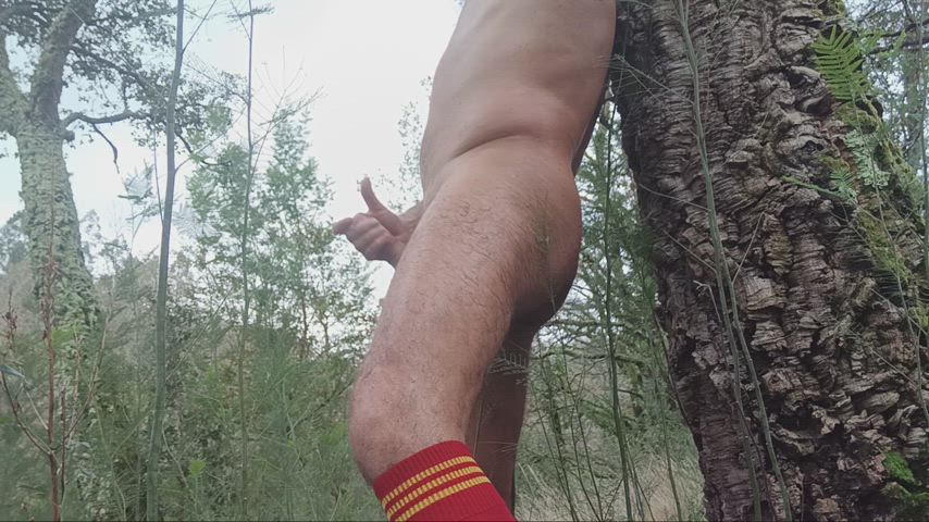 erection jerk off male masturbation masturbating nudist nudity outdoor gif