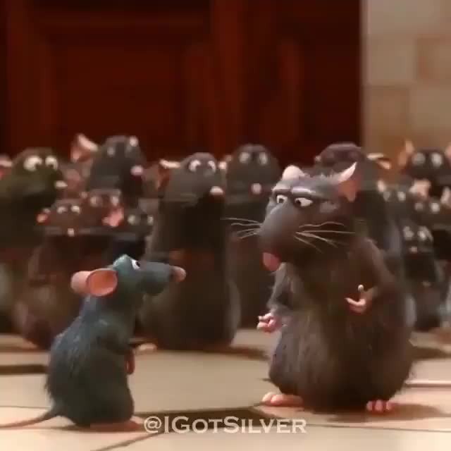 A RAT