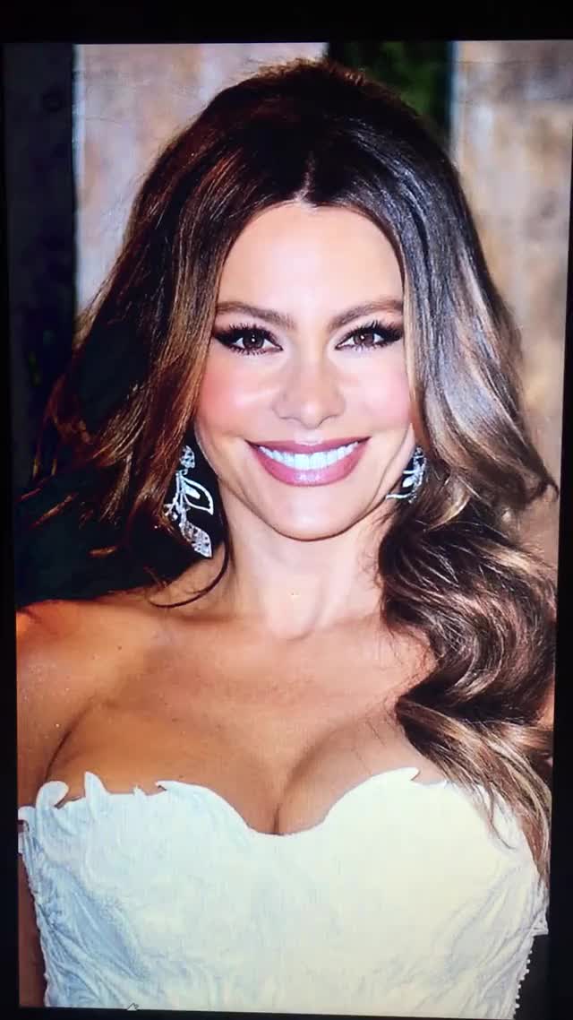 Sofia Vergara tribute