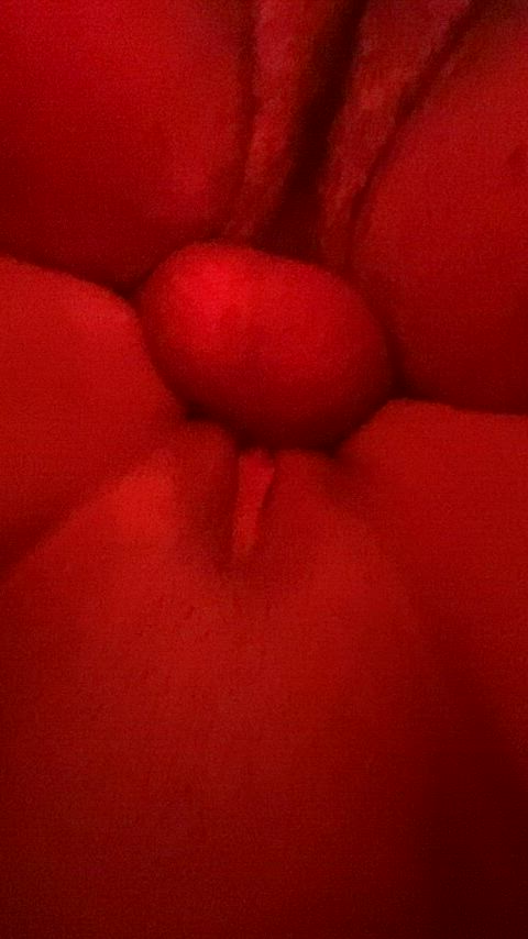 balls close up cock doggystyle from below wet pussy gif
