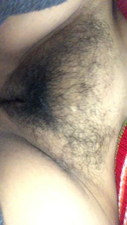Hairy Pussy Pussy Thick gif